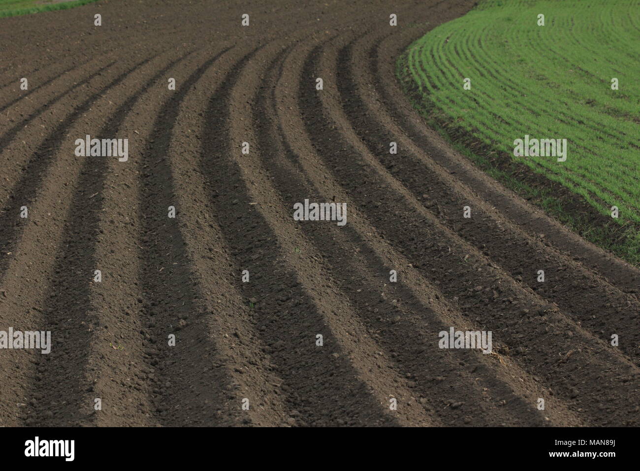 Landwirtschaft: frisch gepflügten Feldes Stockfoto