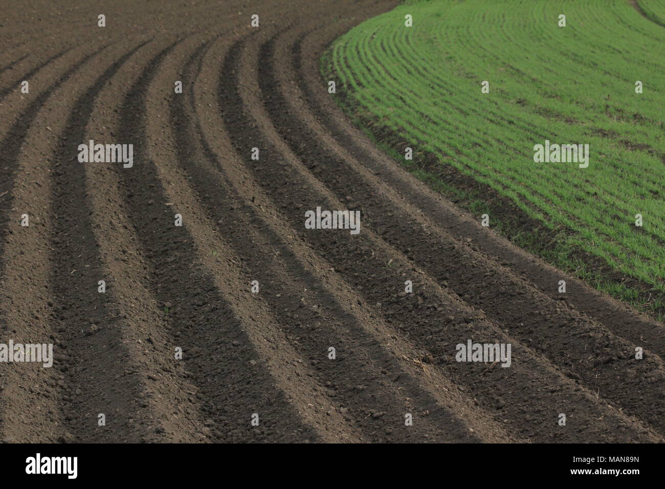 Landwirtschaft: frisch gepflügten Feldes Stockfoto