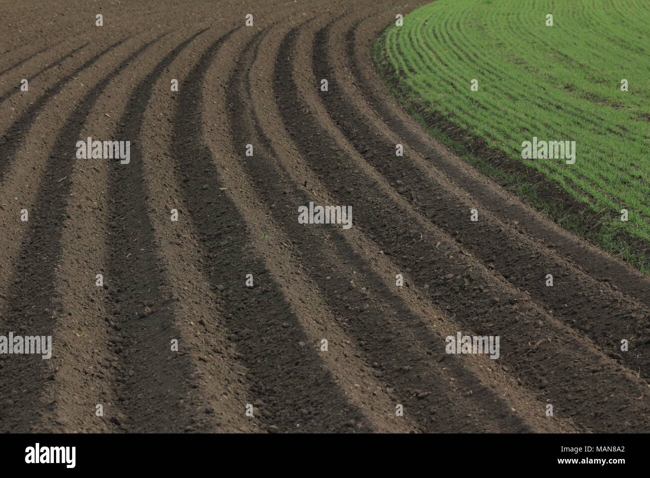 Landwirtschaft: frisch gepflügten Feldes Stockfoto