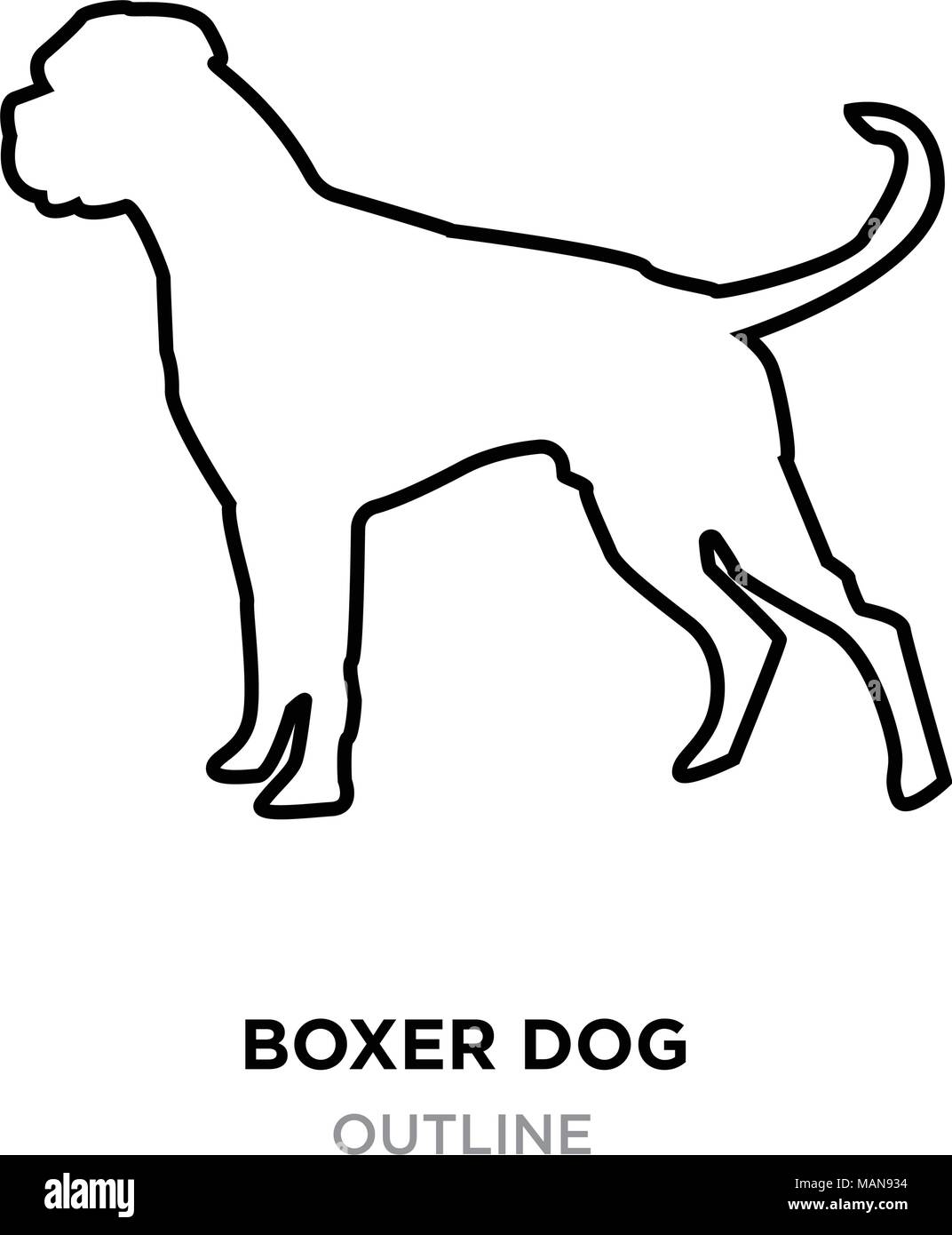 Boxer Hund Umrisse auf weißem Hintergrund, Vector Illustration Vektor