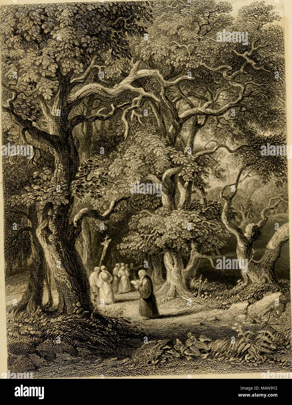 "Die poetische Werke von Fitz-Greene Halleck: Nun zuerst gesammelt; mit stahlstichen illustriert, die anhand von Zeichnungen, die von Amerikanischen Künstlern" (1850) Stockfoto