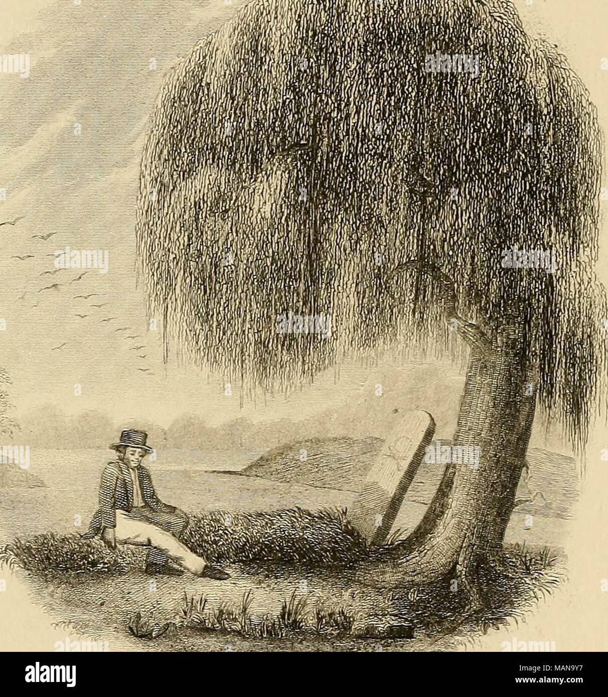 "Die poetische Werke von Fitz-Greene Halleck: Nun zuerst gesammelt; mit stahlstichen illustriert, die anhand von Zeichnungen, die von Amerikanischen Künstlern" (1850) Stockfoto