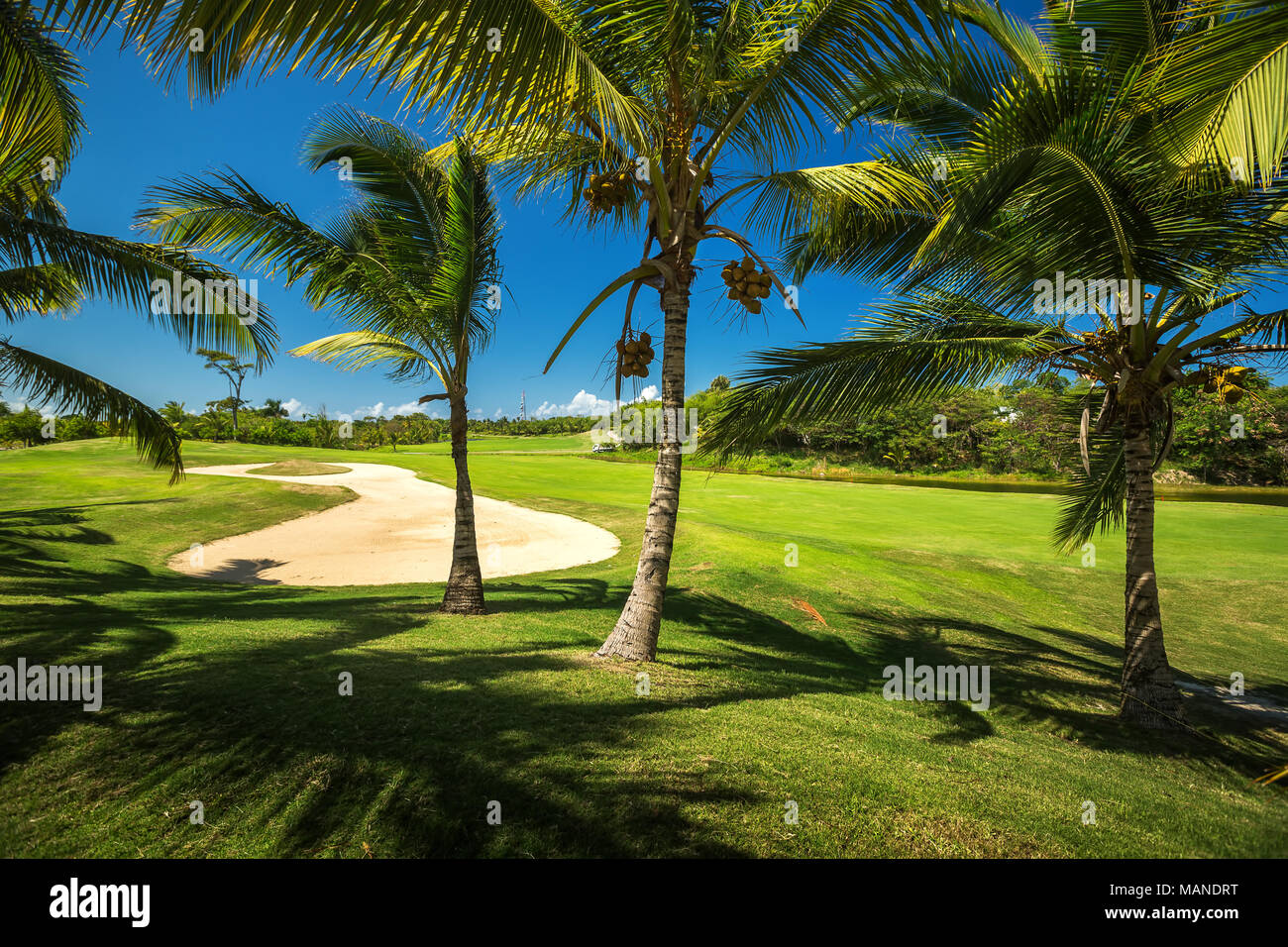 Golfplatz. Schöne Landschaft von einem Golfplatz mit Palmen in Punta Cana, Dominikanische Republik Stockfoto