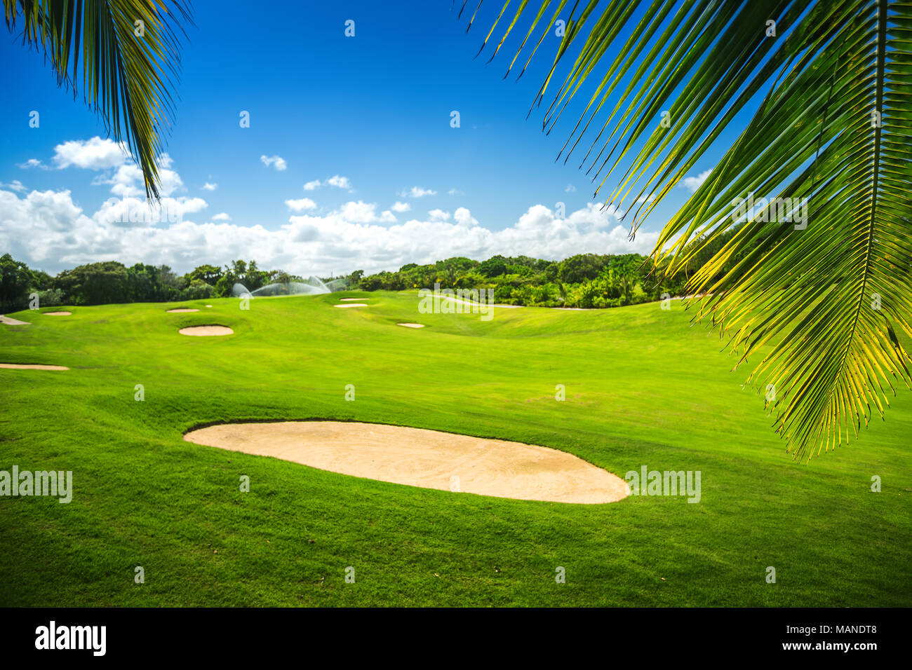 Golfplatz. Schöne Landschaft von einem Golfplatz mit Palmen in Punta Cana, Dominikanische Republik Stockfoto