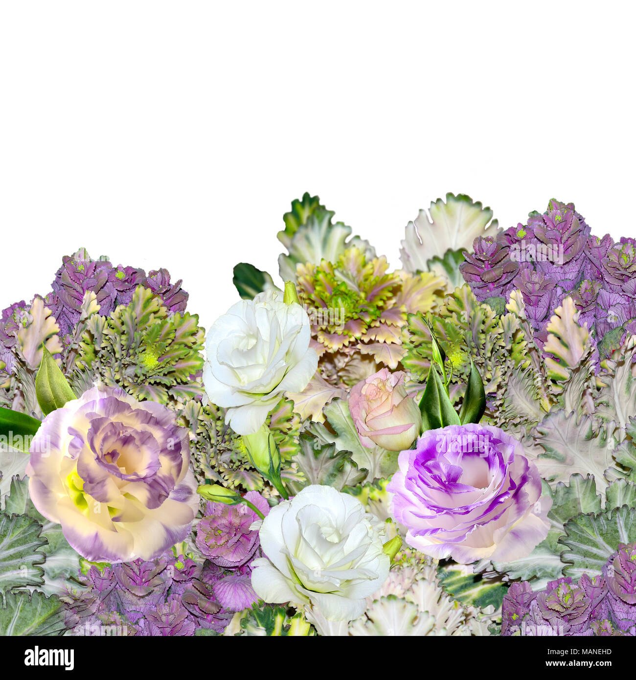 Florale mit Blumenstrauß aus lila mit weißen EUSTOMA (LISIANTHUS) Blumen und Zierpflanzen Kohl - Brassica, oder blühender Grünkohl auf einem weißen isoliert Stockfoto