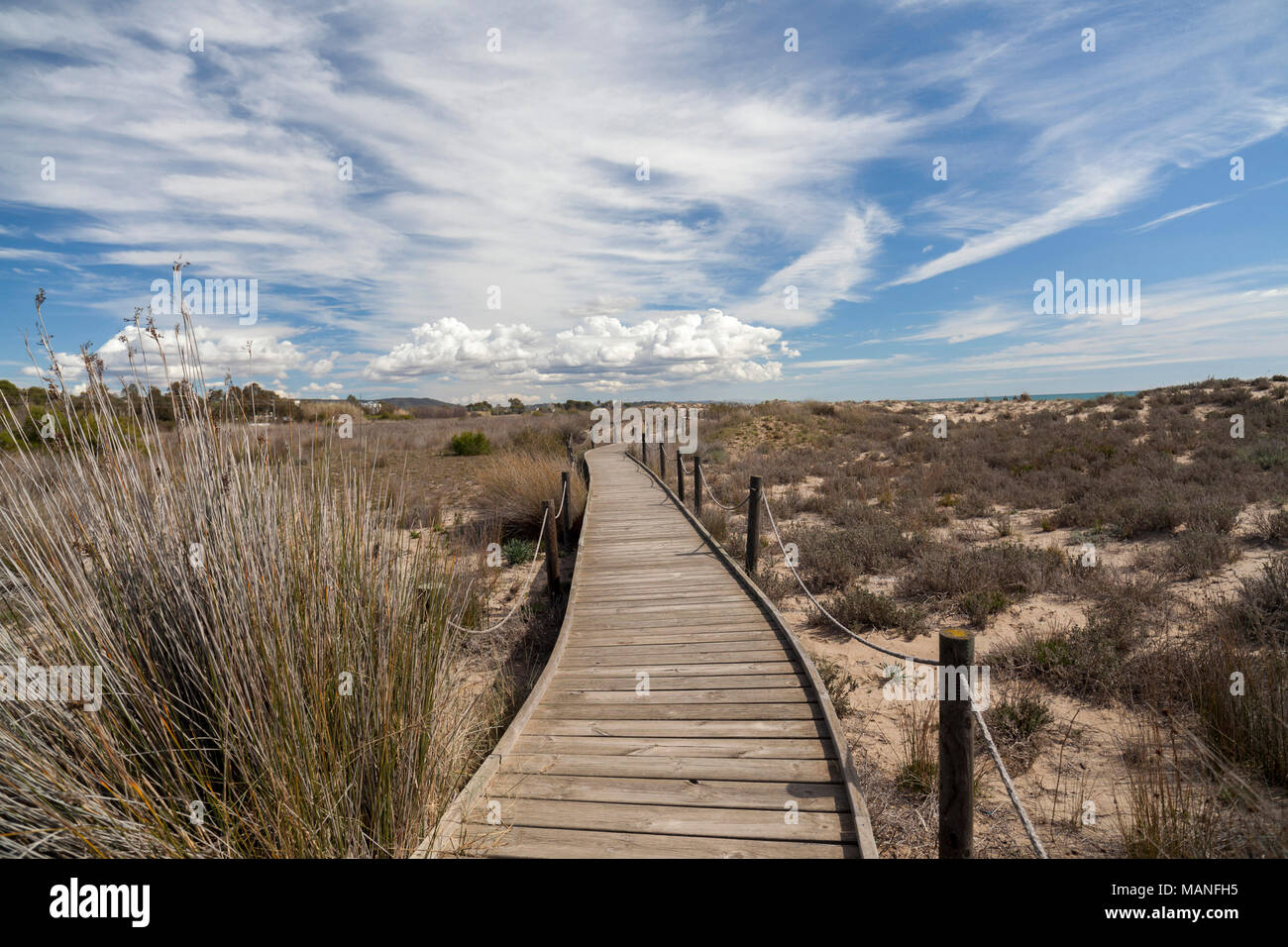 Naturschutzgebiet Els Muntanyans in Torredembarra, Costa Dorada, Katalonien, Spanien. Stockfoto