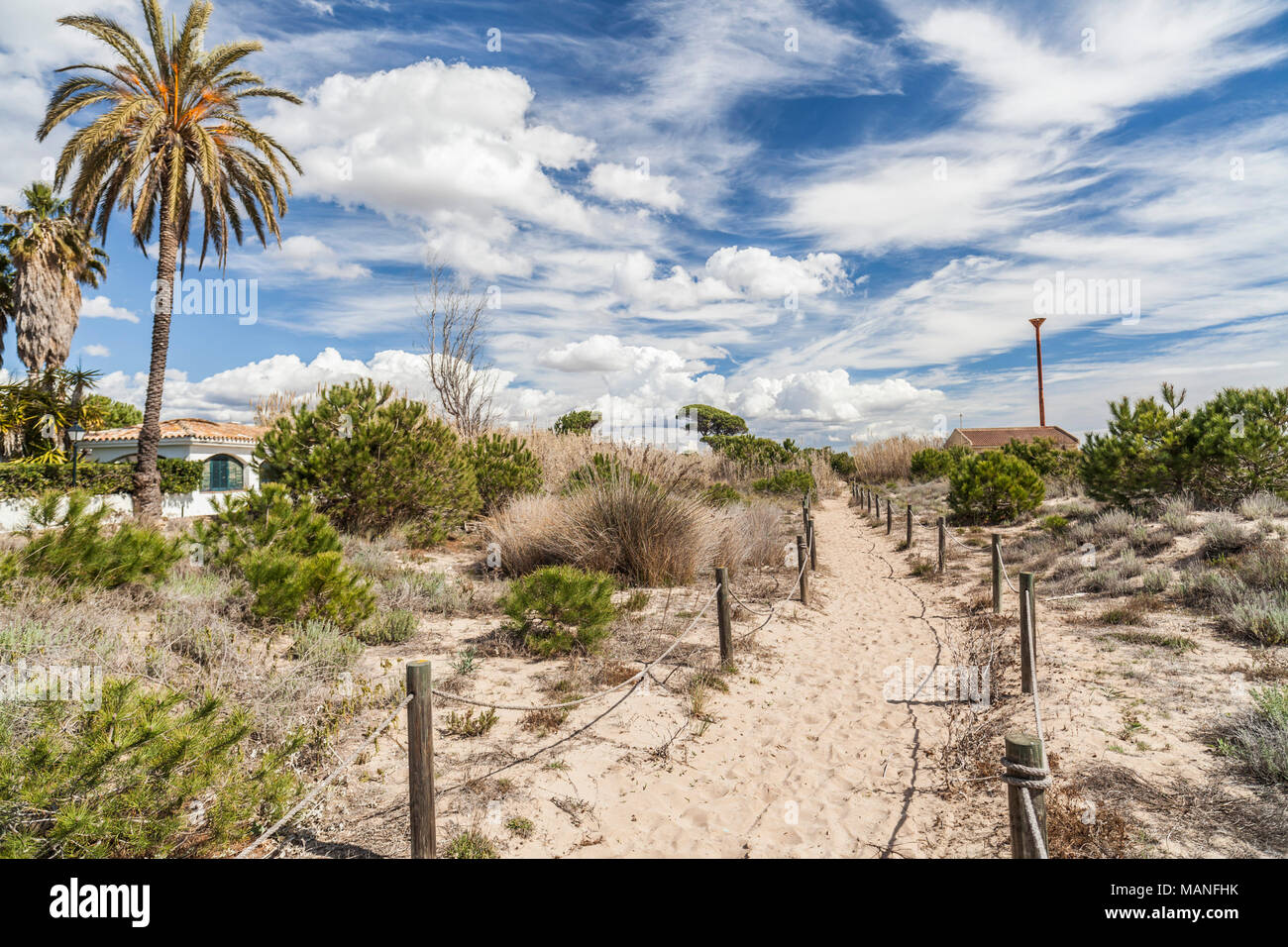 Naturschutzgebiet Els Muntanyans in Torredembarra, Costa Dorada, Katalonien, Spanien. Stockfoto