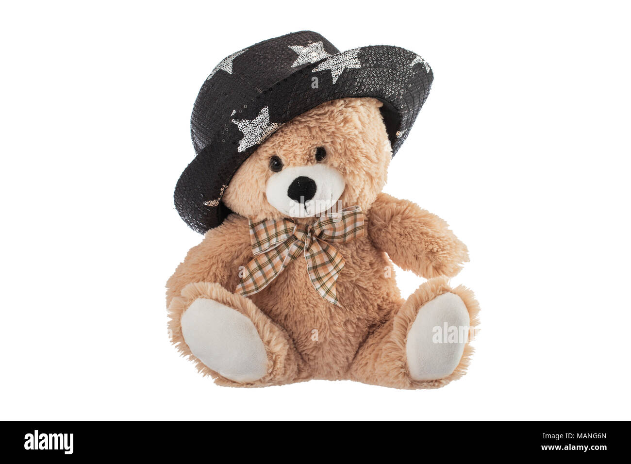 Flauschige Teddybär mit Party Hut auf einem weissem Hintergrund Stockfoto