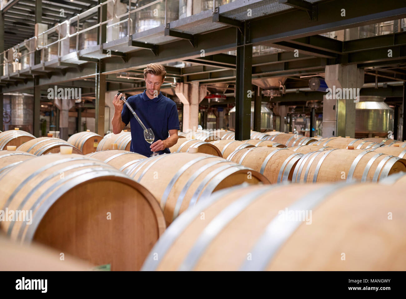 Junger Mann testen Wein in einem Wein Werks- und Lagergebäude Stockfoto