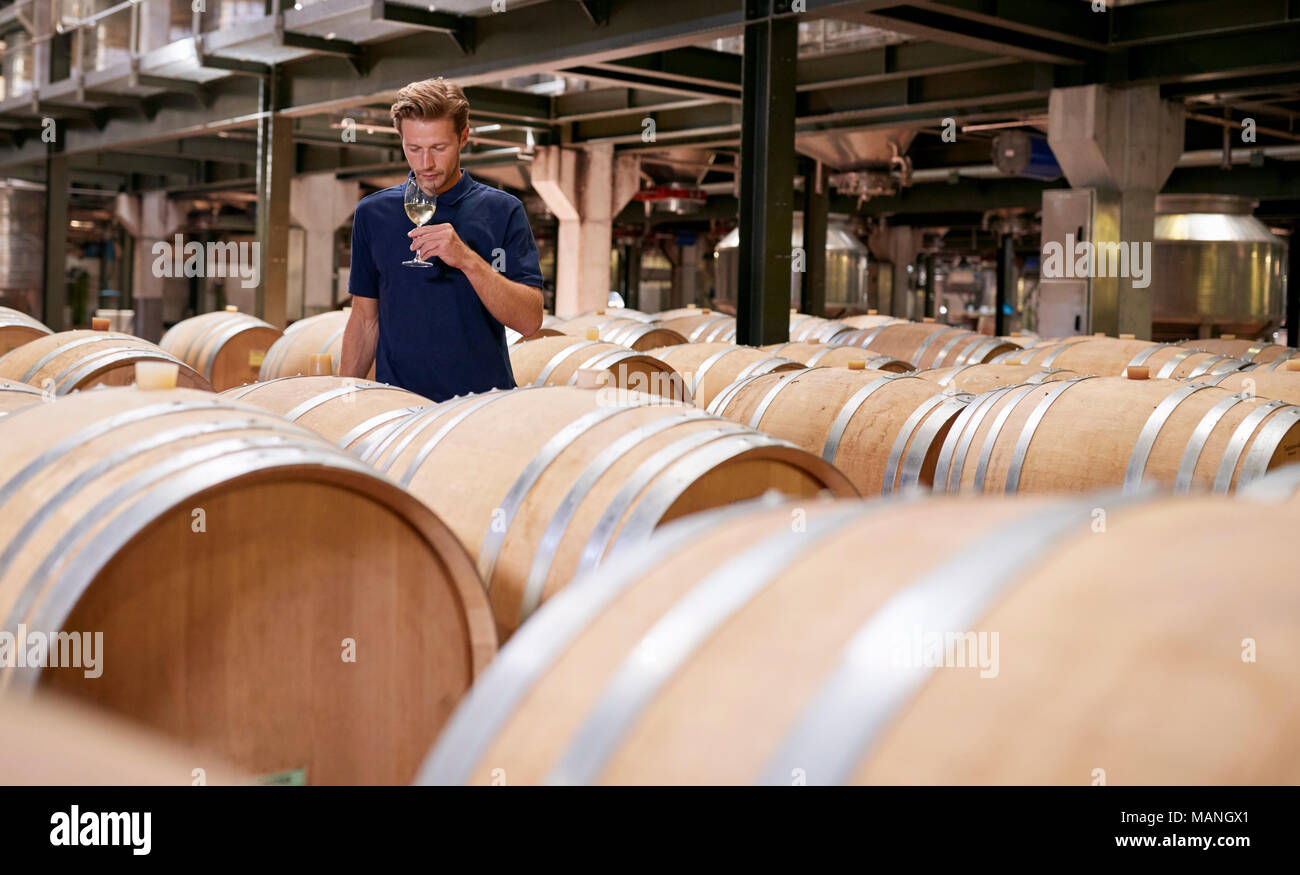 Junger Mann Weinprobe in einem Wein Werks- und Lagergebäude Stockfoto