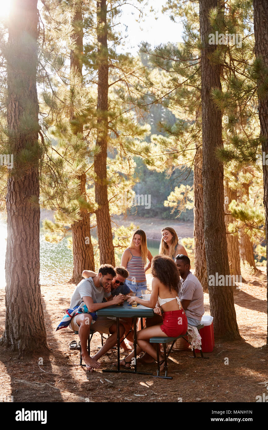 Gruppe von Freunden heraus hängen an einem Tisch durch einen See, vertikal Stockfoto