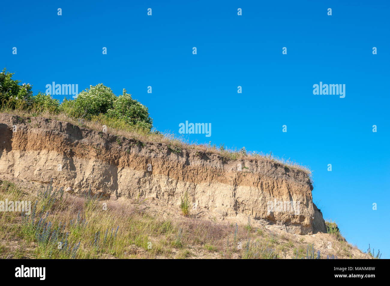 Steilküste am Wulfener Hals, Wulfen, Fehmarn, Ostsee, Schleswig-Holstein, Deutschland, Europa Stockfoto