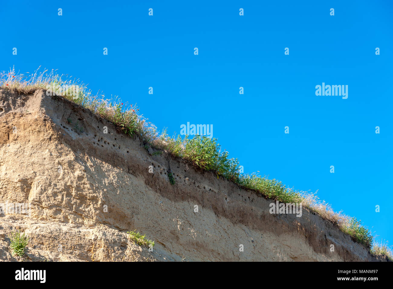 Cliff am Wulfener Hals mit Brutplätzen für Schwalben, Wulfen, Fehmarn, Ostsee, Schleswig-Holstein, Deutschland, Europa Stockfoto