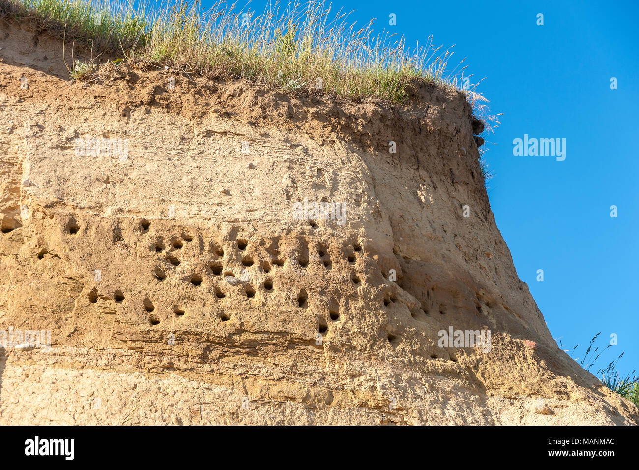 Brutplätze für Schwalben auf den Klippen am Wulfener Hals, Wulfen, Fehmarn, Ostsee, Schleswig-Holstein, Deutschland, Europa Stockfoto