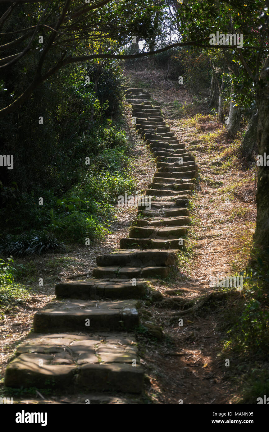 Alt, abgenutzt, unregelmäßige Steinstufen mit Moos an den Seiten Wicklung durch den Wald Stockfoto