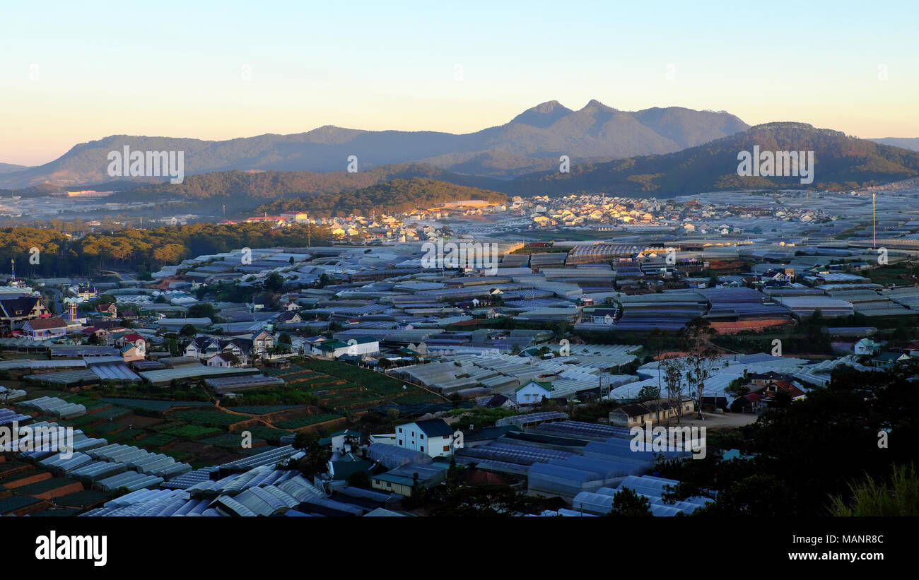 Große landwirtschaftliche Fläche in Da Lat Landschaft, Gewächshäuser aus Kunststoff für die Sicherheit in der Produktion Gemüse, Blumen, Gewächshaus schädlich für die Umwelt Stockfoto