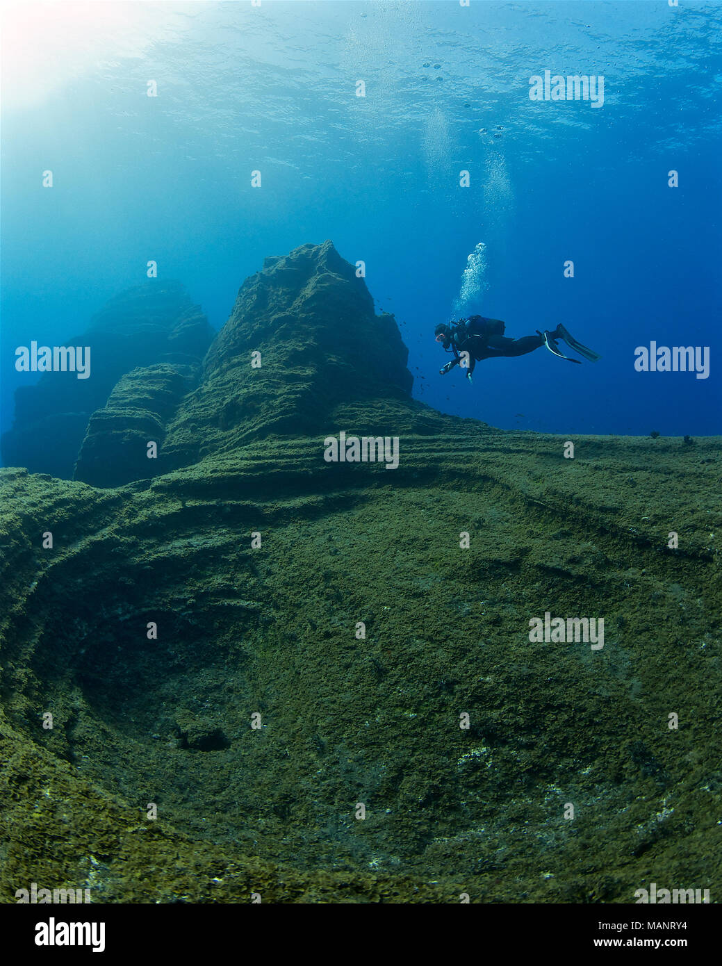 Scuba Diver bei 'El Bajón" Tauchplatz, einem berühmten vulkanischen Seamount in Mar de las Calmas Marine Reserve (El Hierro, Kanarische Inseln, Spanien) Stockfoto