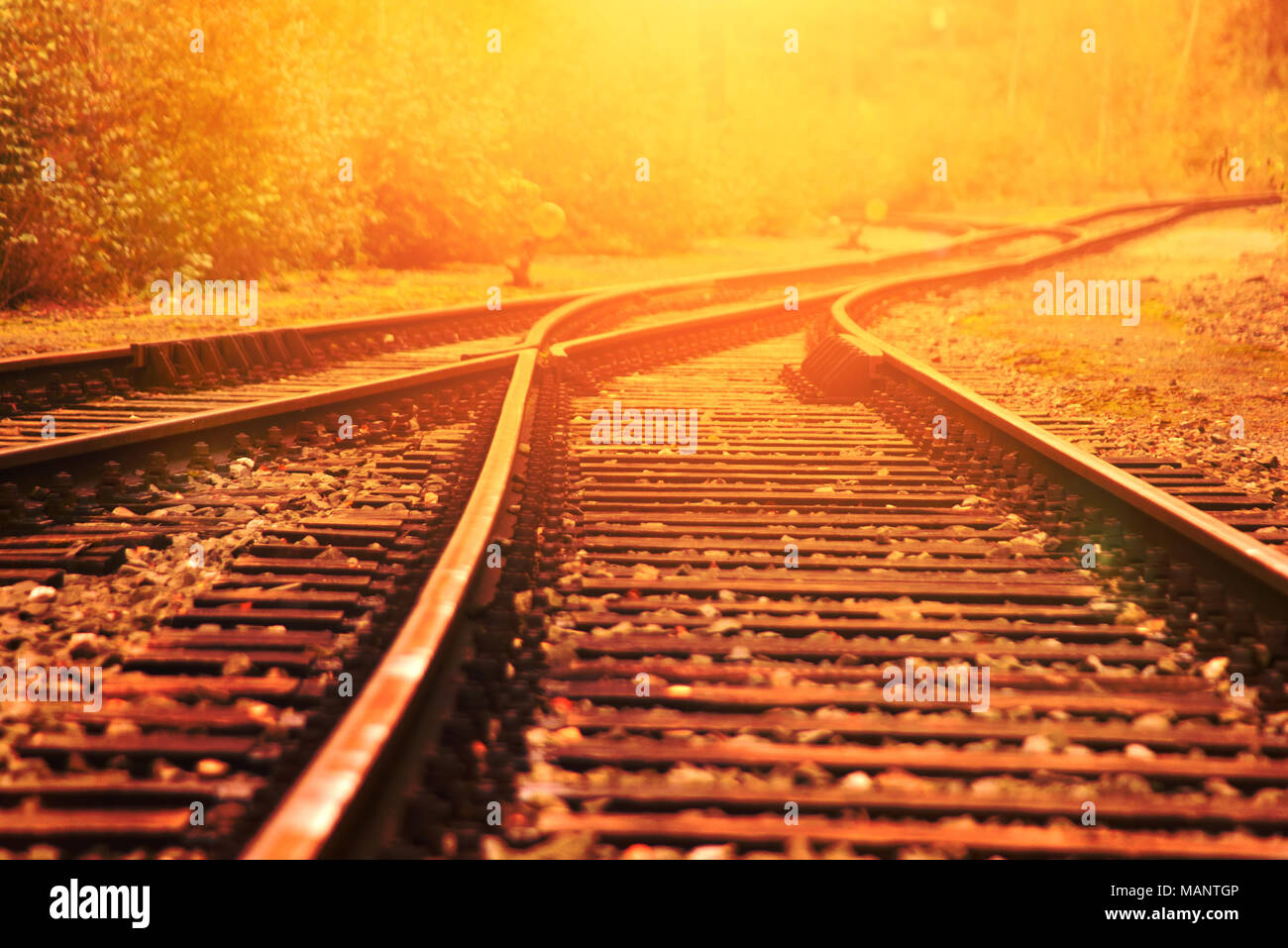 Alte Eisenbahn oder Bahnstrecken in der goldenen Sonne. Bahnübergang. Stockfoto