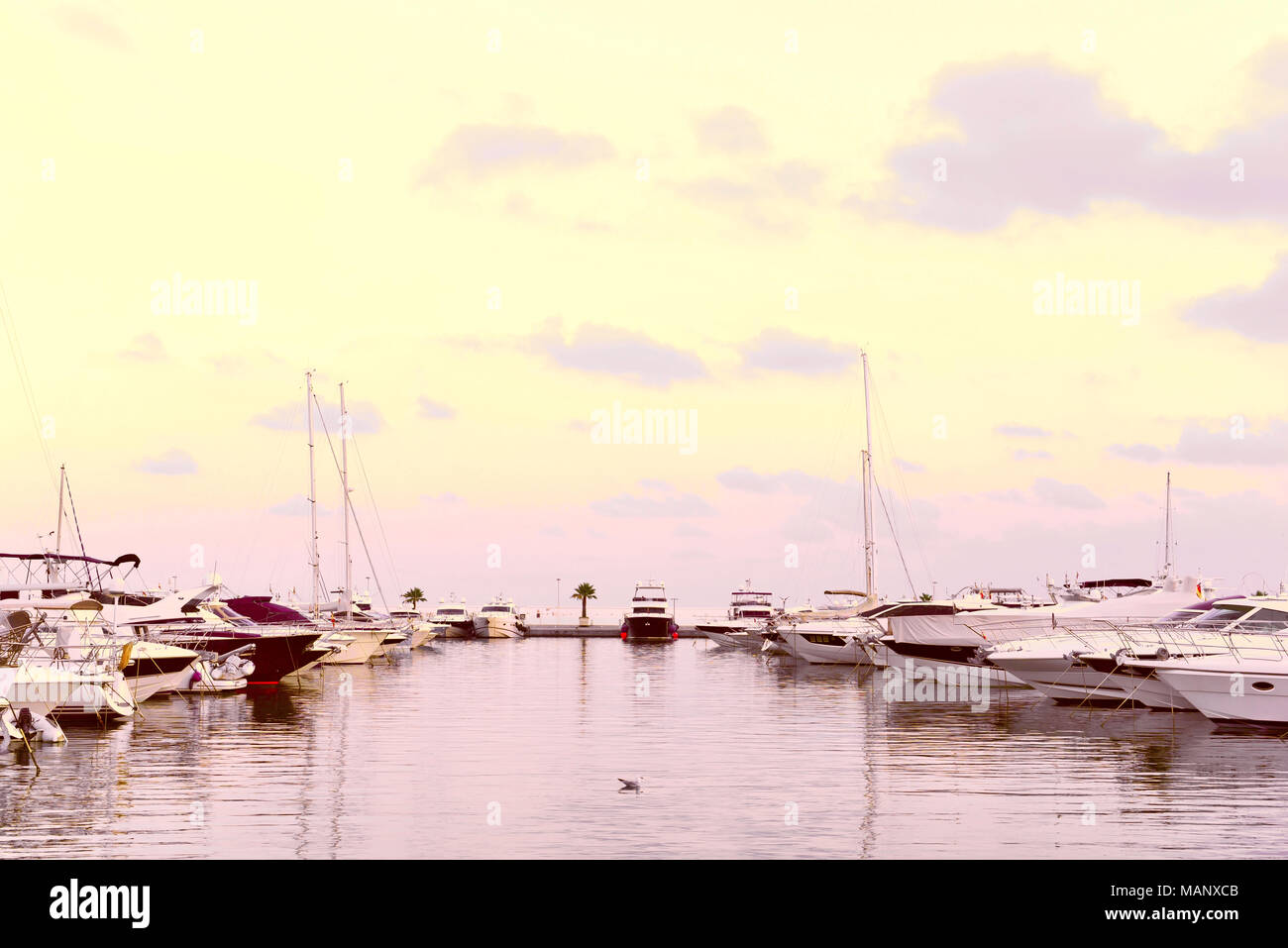 Yachthafen am Abend, mit luxuriösen Segel- und Motoryachten verankert. Marina Szene in den Sonnenuntergang. Stockfoto