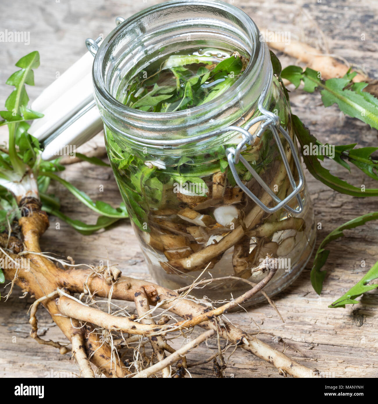 Löwenzahn-Tinktur, Löwenzahntinktur, Wurzeln, Löwenzahn-Wurzel, Löwenzahn-Wurzeln, Löwenzahnwurzel, Löwenzahnwurzeln, Wiesen-Löwenzahn, Radix Taraxaci Stockfoto