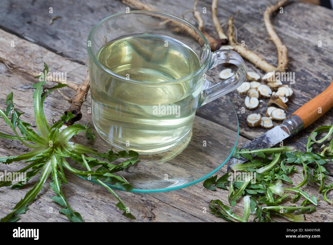 Löwenzahn-Tee, Löwenzahntee, Heiltee, Kräutertee, Tee, Wurzeltee, Wurzeln, Löwenzahn-Wurzel, Löwenzahn-Wurzeln, Löwenzahnwurzel, Löwenzahnwurzeln, Wie Stockfoto