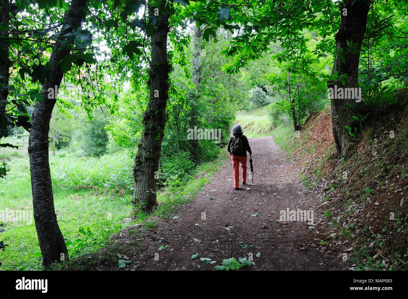 Wanderweg in Las Médulas, einst eine römische Goldmine. Heute zum UNESCO-Weltkulturerbe. Castilla y León, Spanien Stockfoto