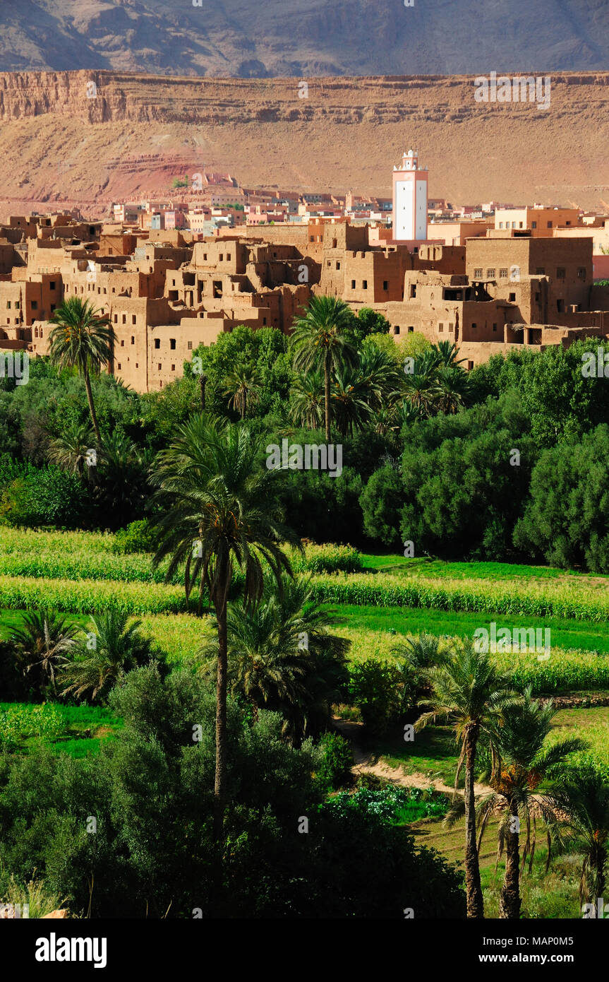 Die Oase Tinerhir kasbah mit der todra River Schluchten in den Horizont. Marokko Stockfoto