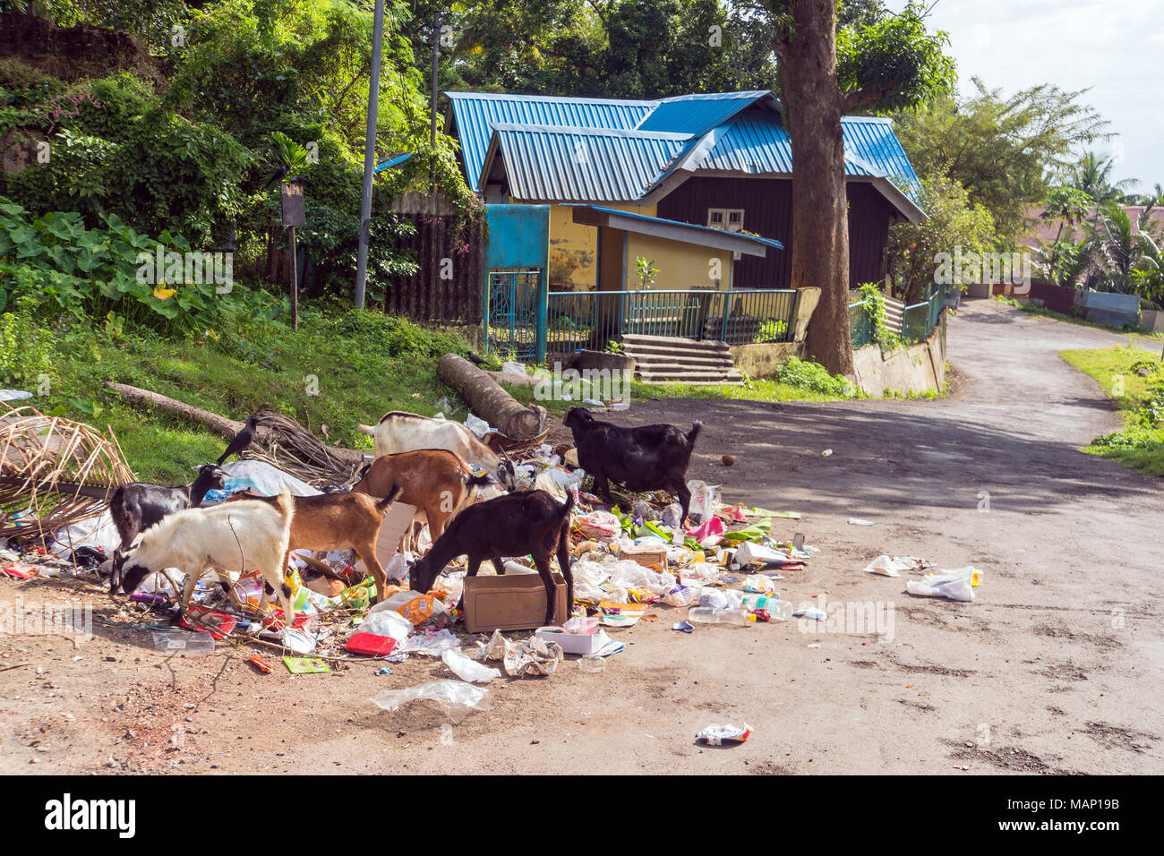 Müllhalde auf den Straßen von Port Blair. Schmutzige Straßen von asiatischen Städte. Umweltprobleme in Indien. Ziegen Aussehen für Lebensmittel im Müll Stockfoto
