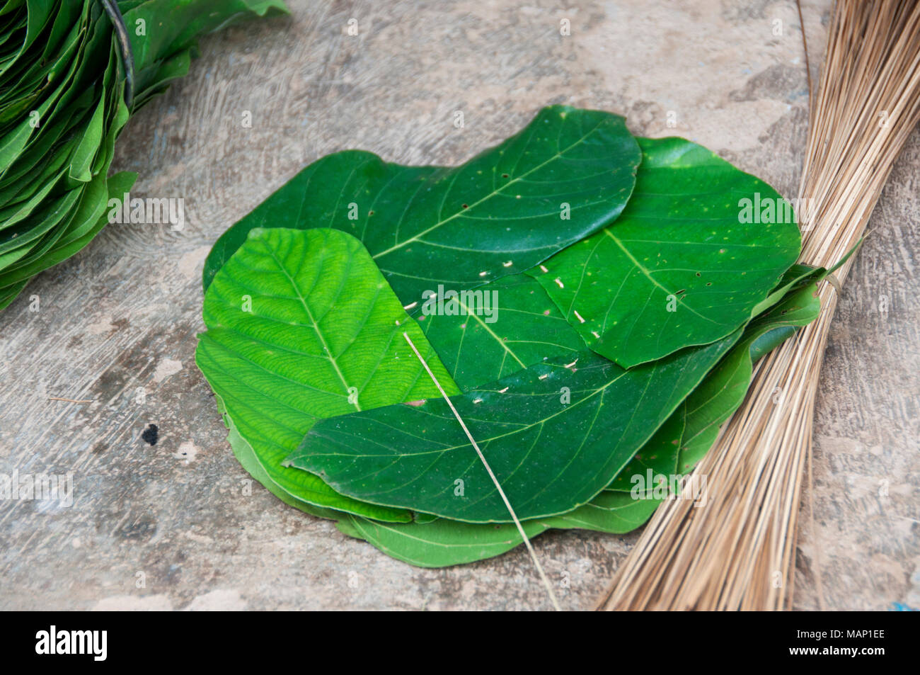 Nepal 2014. Khorunde. Arun Tal. Hausgemachte blatt Gerichte. Stockfoto
