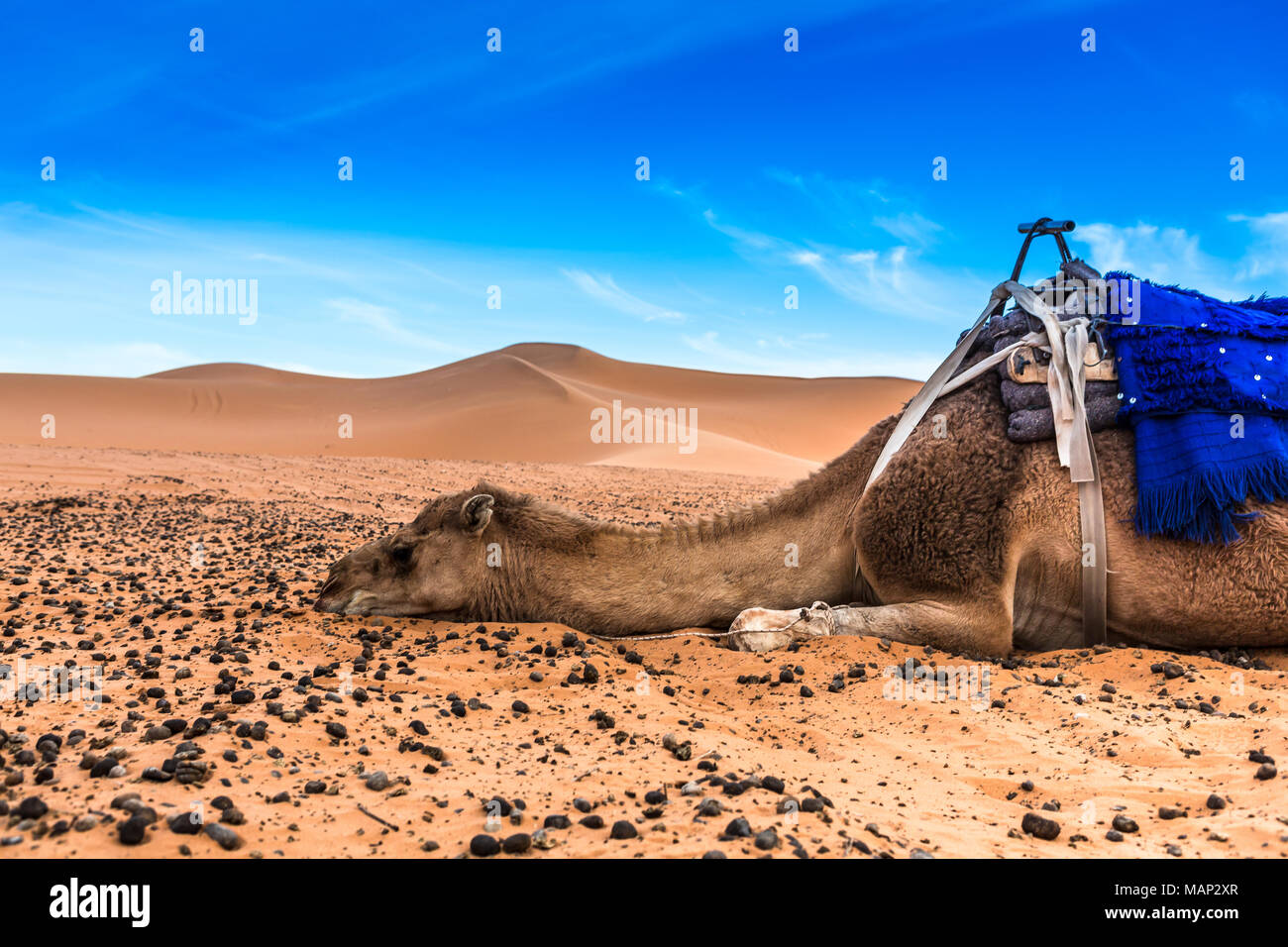 Merzouga in der Wüste Sahara in Marokko Stockfoto