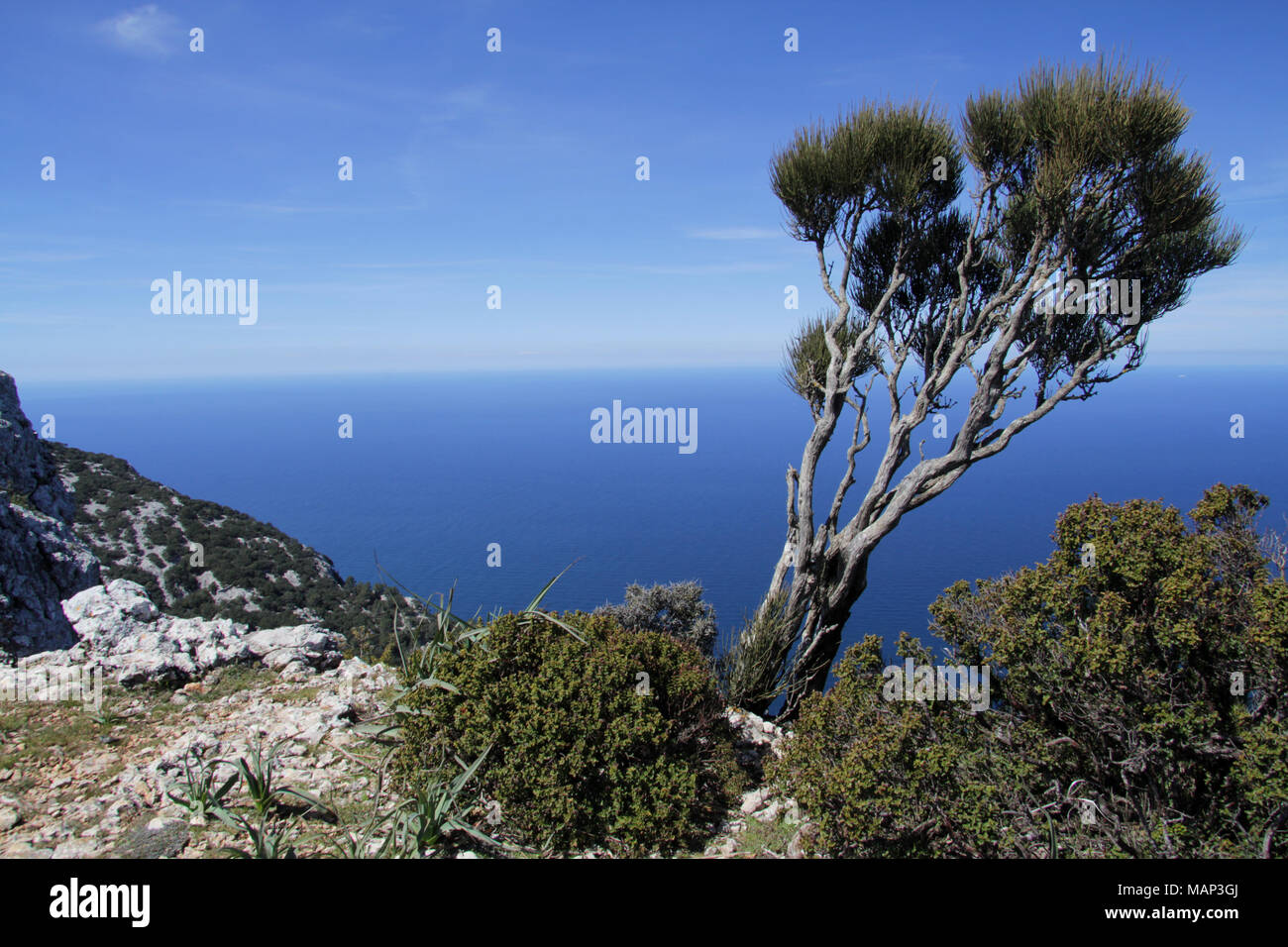 Mit Blick auf das Mittelmeer vom Berge von Mallorca Stockfoto