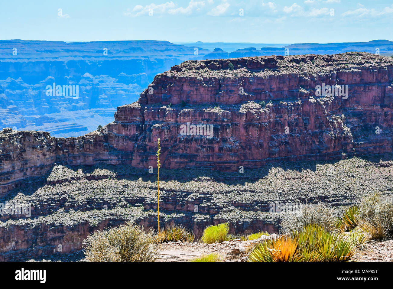 Grand Canyon in Arizona, USA Stockfoto