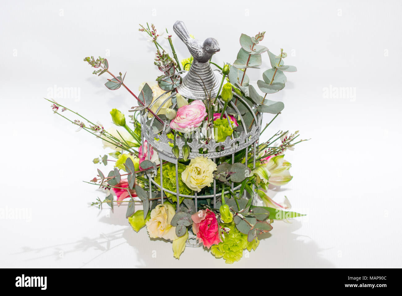 Blumen in Vögel Käfig auf weißem Hintergrund studio Foto Stockfoto