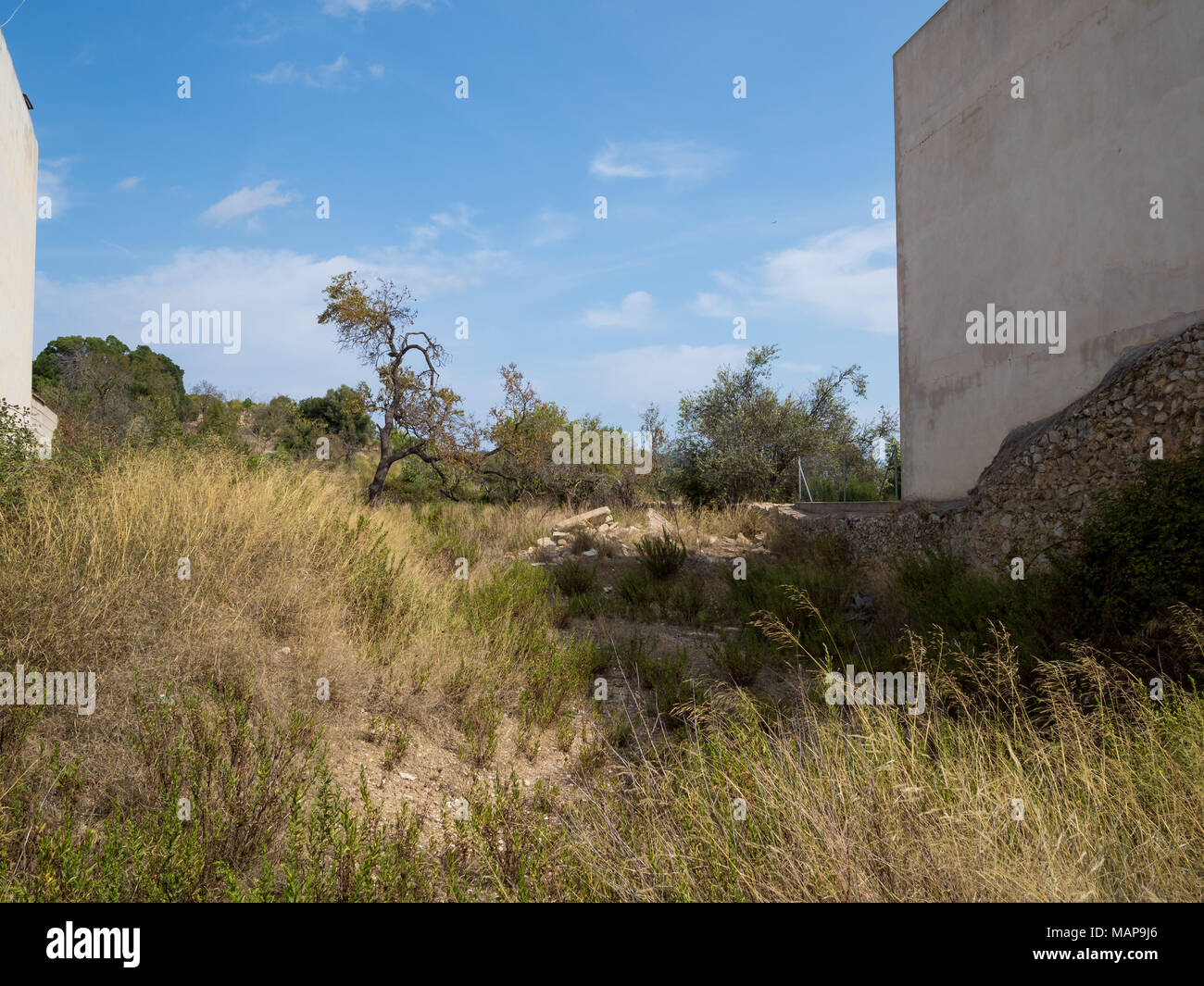 Unbebautes Land in der Altstadt von Arta, Mallorca, Balearen Inseln Stockfoto