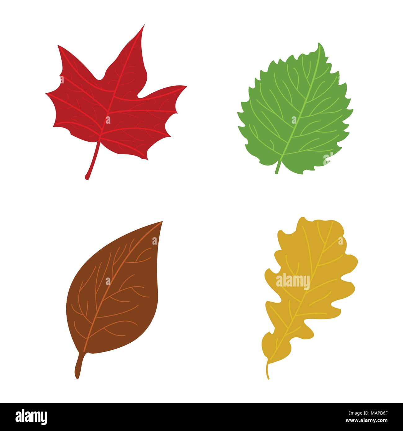 Cartoon flache Blätter im Herbst auf weißem Hintergrund. Vector Illustration Stock Vektor