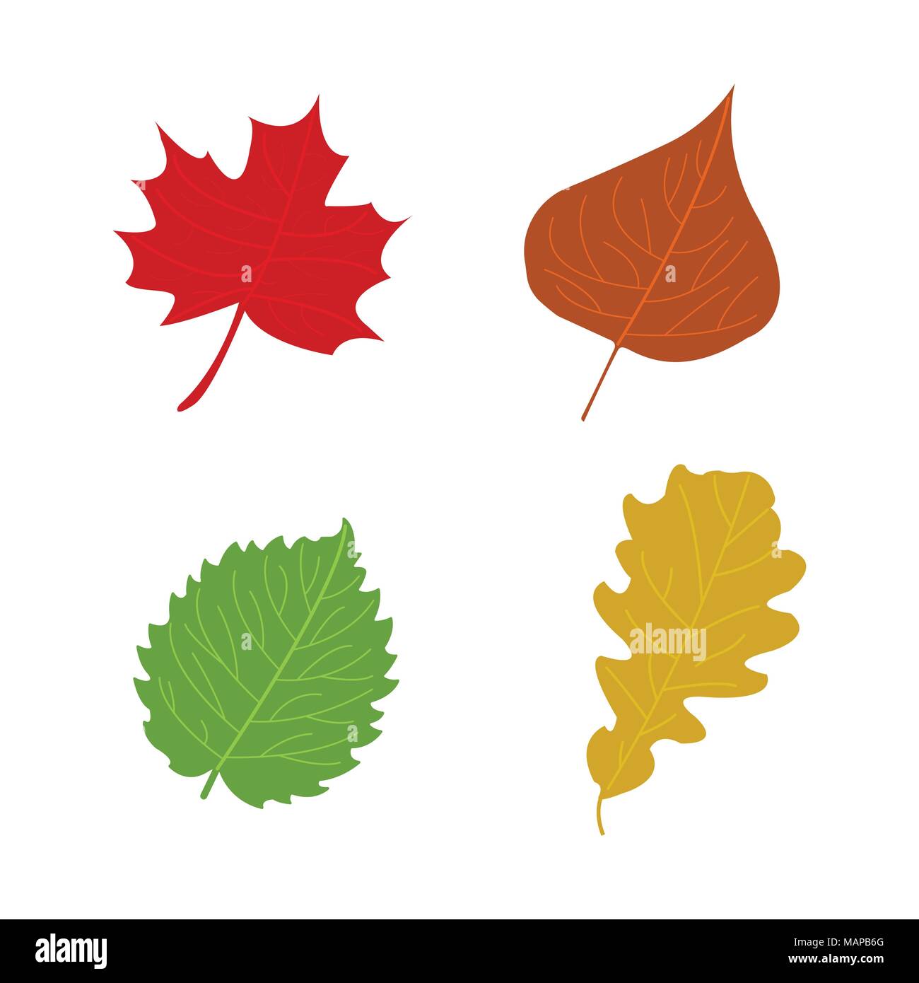 Cartoon flache Blätter im Herbst auf weißem Hintergrund. Vector Illustration Stock Vektor