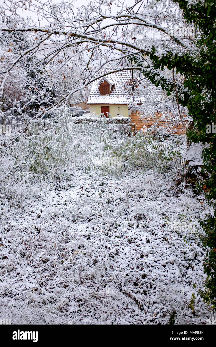 Kleines Haus in der Rückseite eines schneebedeckten Garten, Straßburg, Elsass, Frankreich, Europa, Stockfoto