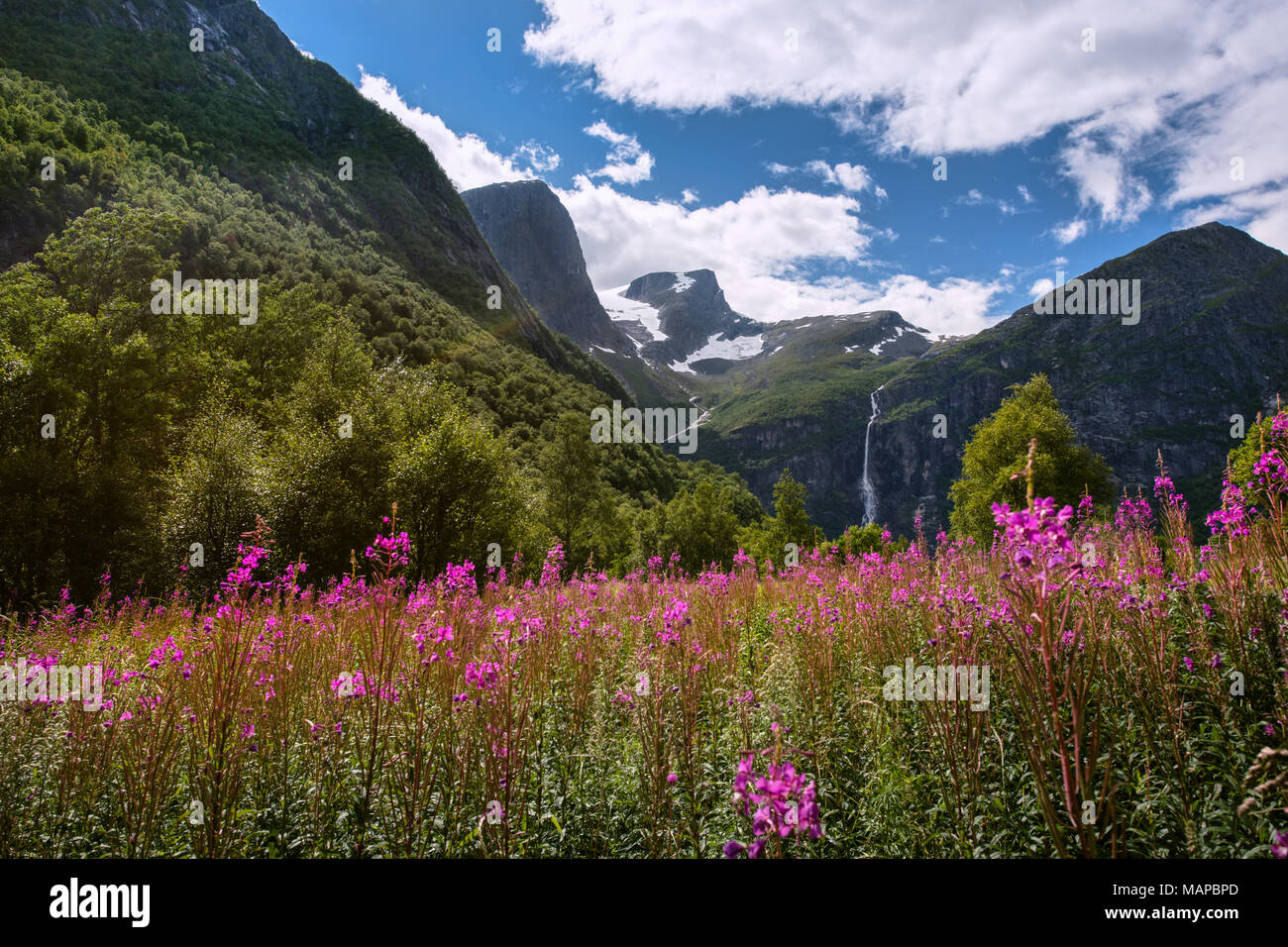 Blick auf den Wasserfall in Briksdalsbreen Tal im Nationalpark Jostedalsbreen Norwegen. Stockfoto