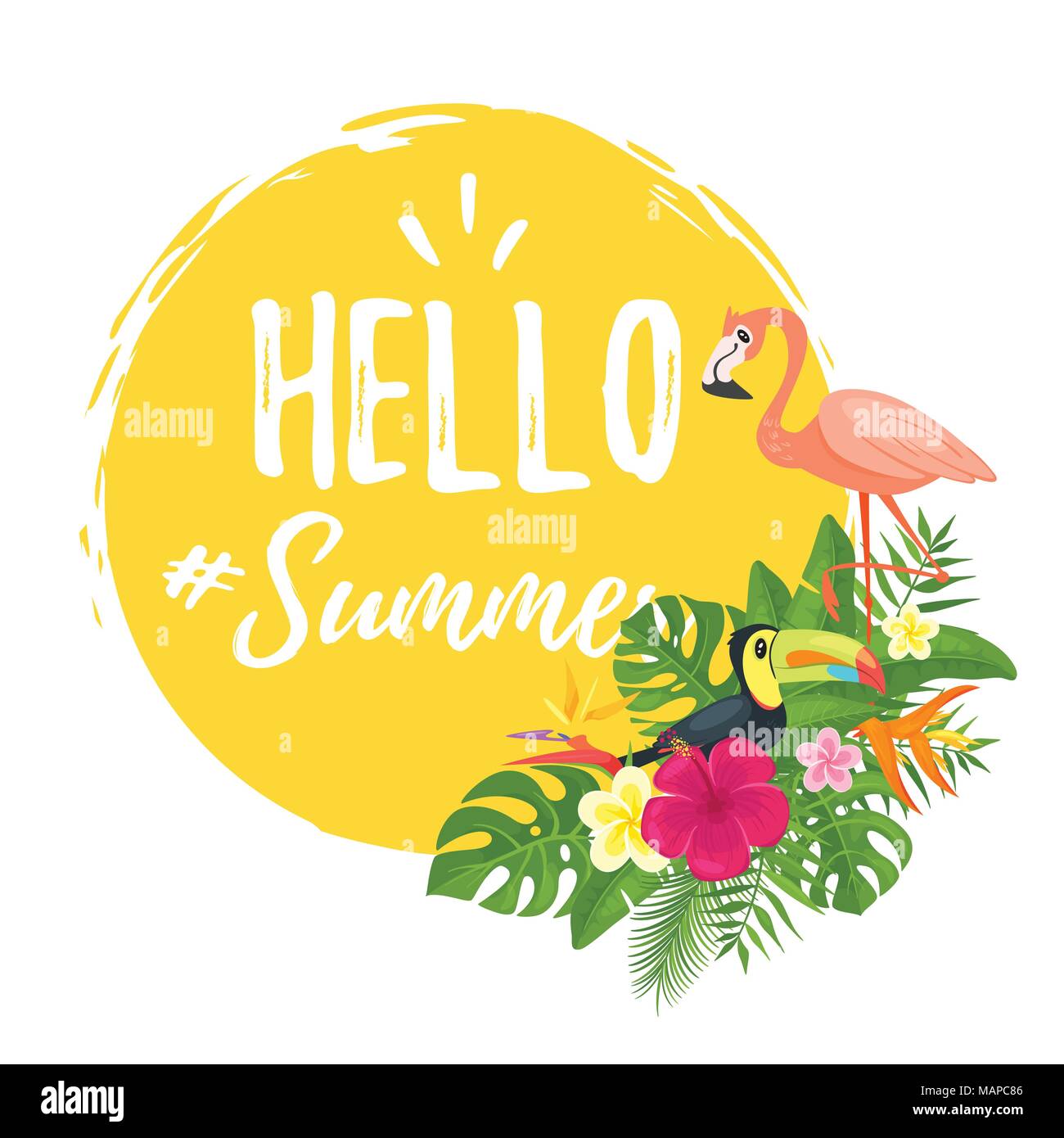 Vektor Cartoon Stil Hallo Sommer Design für Saison Postkarte oder Poster mit floralen Komposition mit tropischen Blättern und Vögeln: Flamingo und toucan. Co Stock Vektor