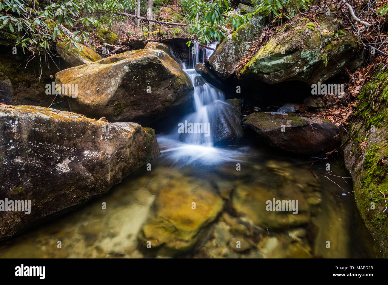 Wasser ergiesst sich ein kleiner Wasserfall in einem Laubwald. Stockfoto