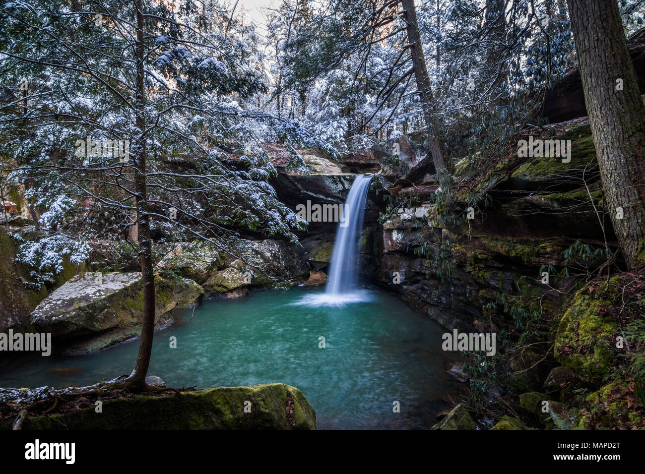 Wasser fließt von einem Wasserfall in diesem Winter Szene in einem Laubwald. Stockfoto