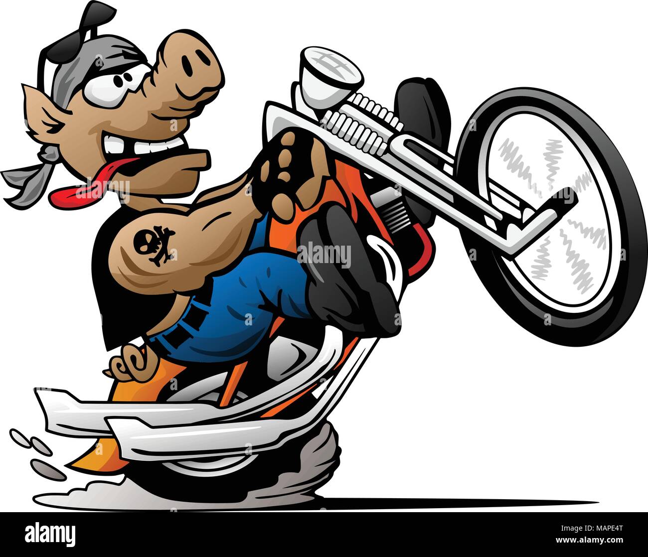 Biker hog Knallen einen Wheelie auf einem Motorrad cartoon Vector  Illustration Stock-Vektorgrafik - Alamy