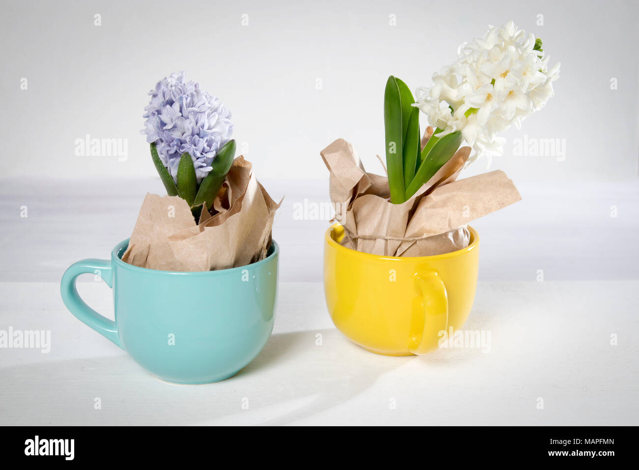 Blumen Komposition mit Lila und Weiß Hyazinthen in braunes Packpapier eingewickelt in Becher. Frühling Blumen auf weißem Hintergrund. Ostern Konzept. Stockfoto