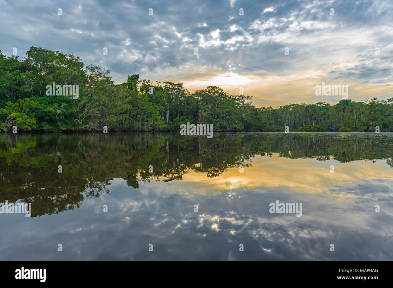 Sonnenuntergang von einer Lagune im Inneren des Yasuni Nationalpark und Amazonas Regenwald mit einer Reflexion der Baumkronen, Ecuador, Südamerika. Stockfoto