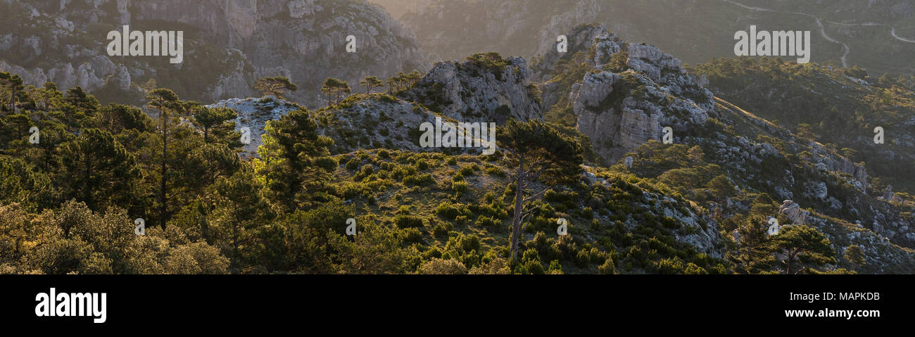 Schönen Sonnenaufgang Landschaft bei Häfen de Beceite National Park mit mediterraner Vegetation und felsigen Berge und Schluchten mit contralight, Spa Stockfoto