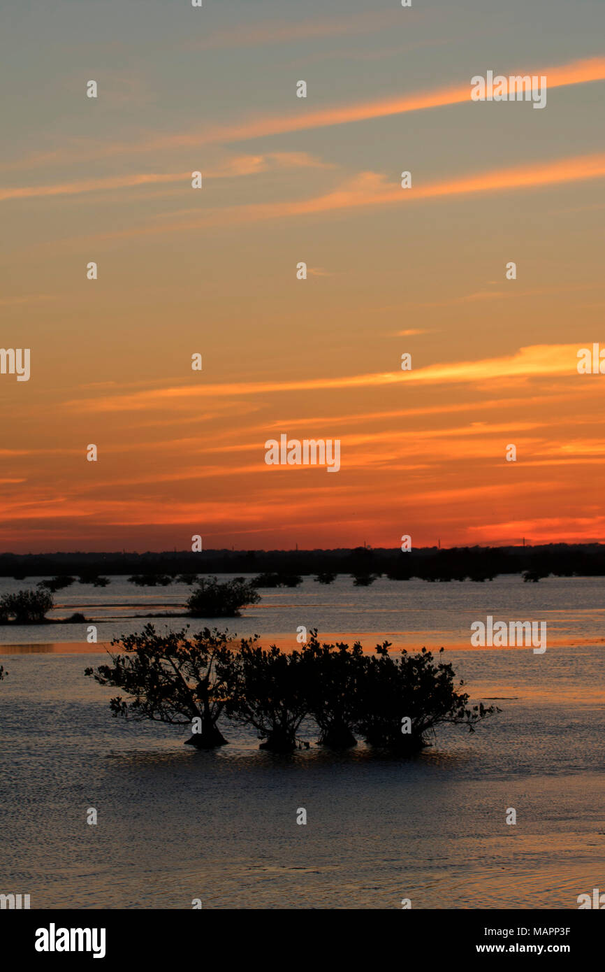 Mangrove Sonnenuntergang, Merritt Island National Wildlife Refuge, Florida Stockfoto