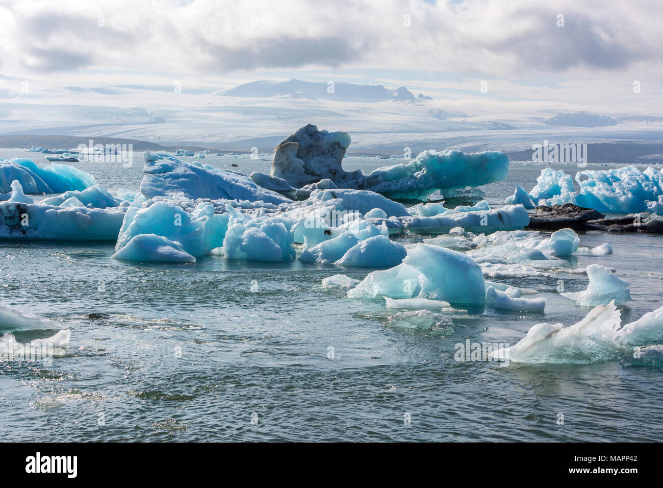 Gletscherlagune Jökulsárlón, Island Stockfoto