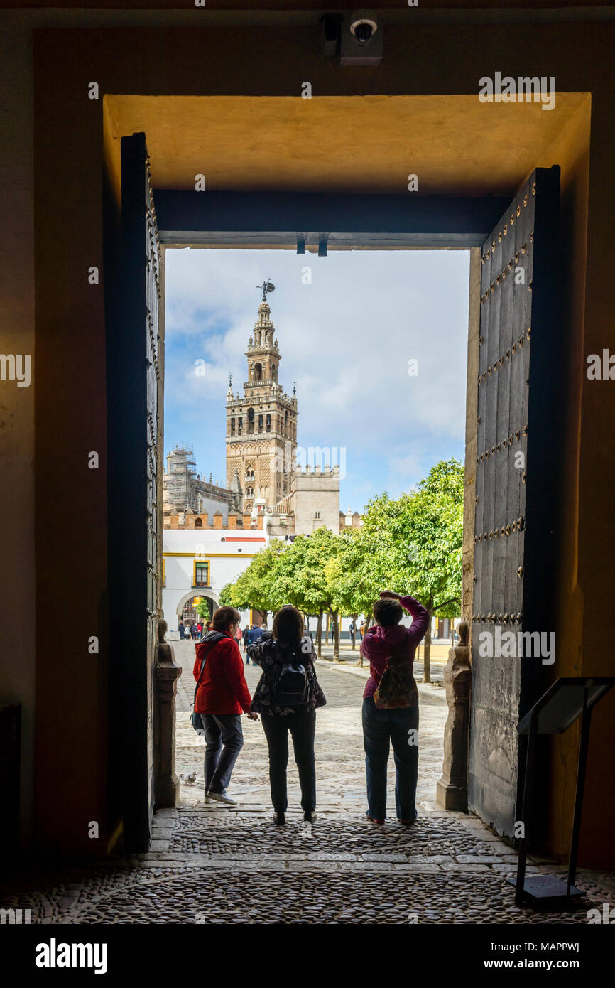 Sicht auf den Patio de Banderas Hauptplatz (Plaza) und die Kathedrale von Sevilla Giralda Glockenturm in der spanischen Stadt Sevilla 2018, Andalusien, Spanien Stockfoto