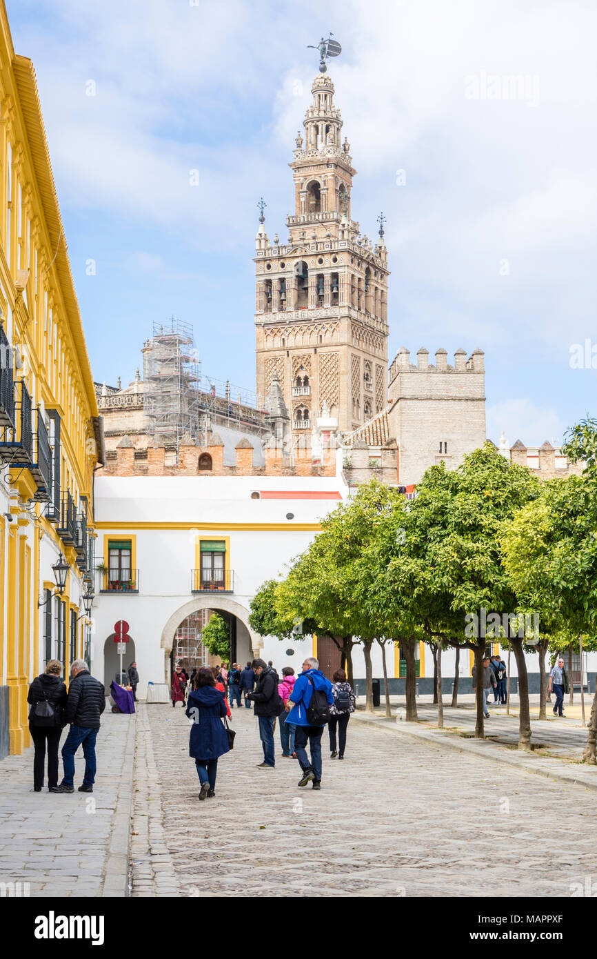 Patio de Banderas Plaza (Quadrat) mit Blick auf die Kathedrale von Sevilla Giralda Glockenturm in der spanischen Stadt Sevilla 2018, Andalusien, Spanien Stockfoto