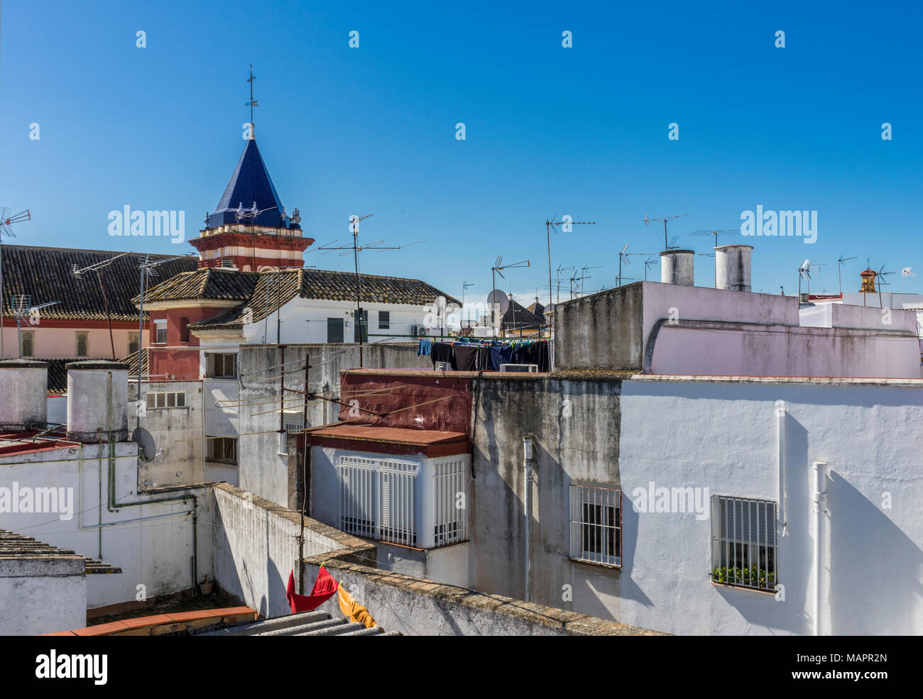 Blick über die Dächer der weißen Häuser und das blau geflieste Dach der Kirche Iglesia de San Roman & Santa Catalina in der spanischen Stadt Sevilla, Andalusien, Spanien Stockfoto